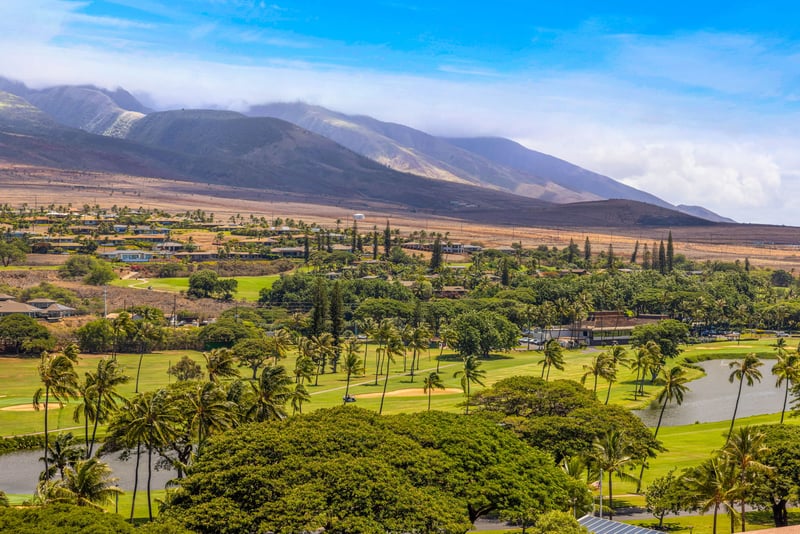 Tropical greens meet stunning mountain backdrops—Maui at its best.