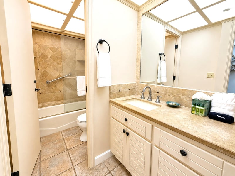 Spacious master bathroom with ample counter space WH2-465