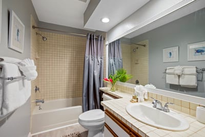 The master bathroom offers convenience with a shower/tub combo