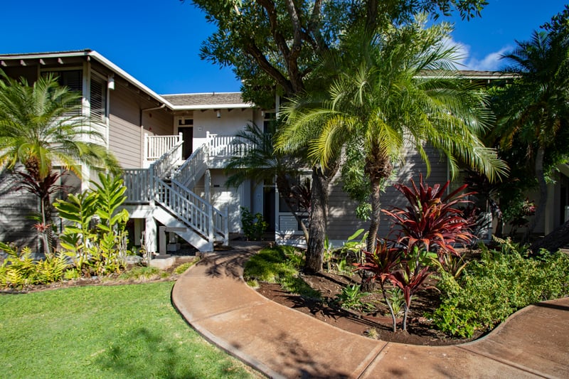 Pathway through lush landscaping leading to your front door