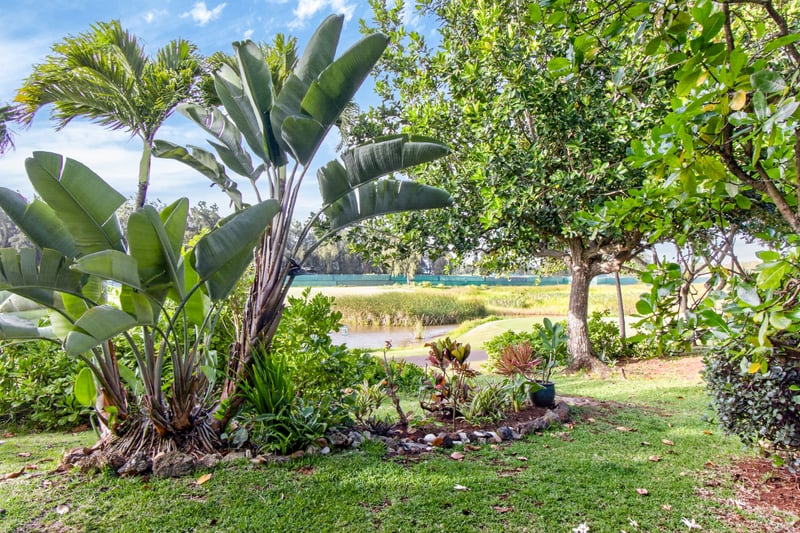 Stroll through beautifully maintained tropical grounds at Kuilima Estates East