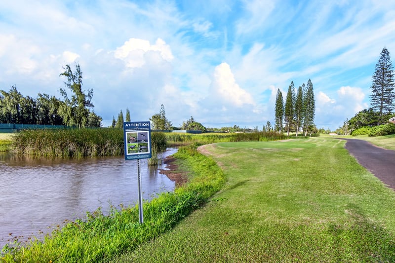 Relax on the expansive lawns surrounded by the beauty of Oahu