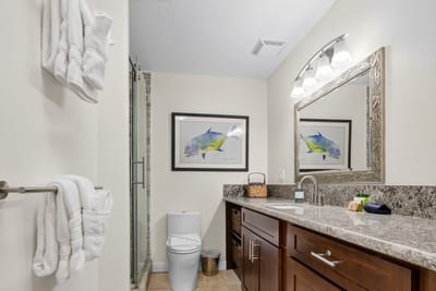 Well lit full bathroom with fresh finishes and plenty of counter space