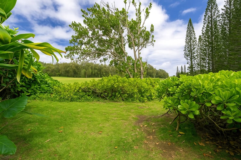 Wake up to the lush sights and soothing sounds of nature—your private garden escape awaits just outside the door KUL-E113