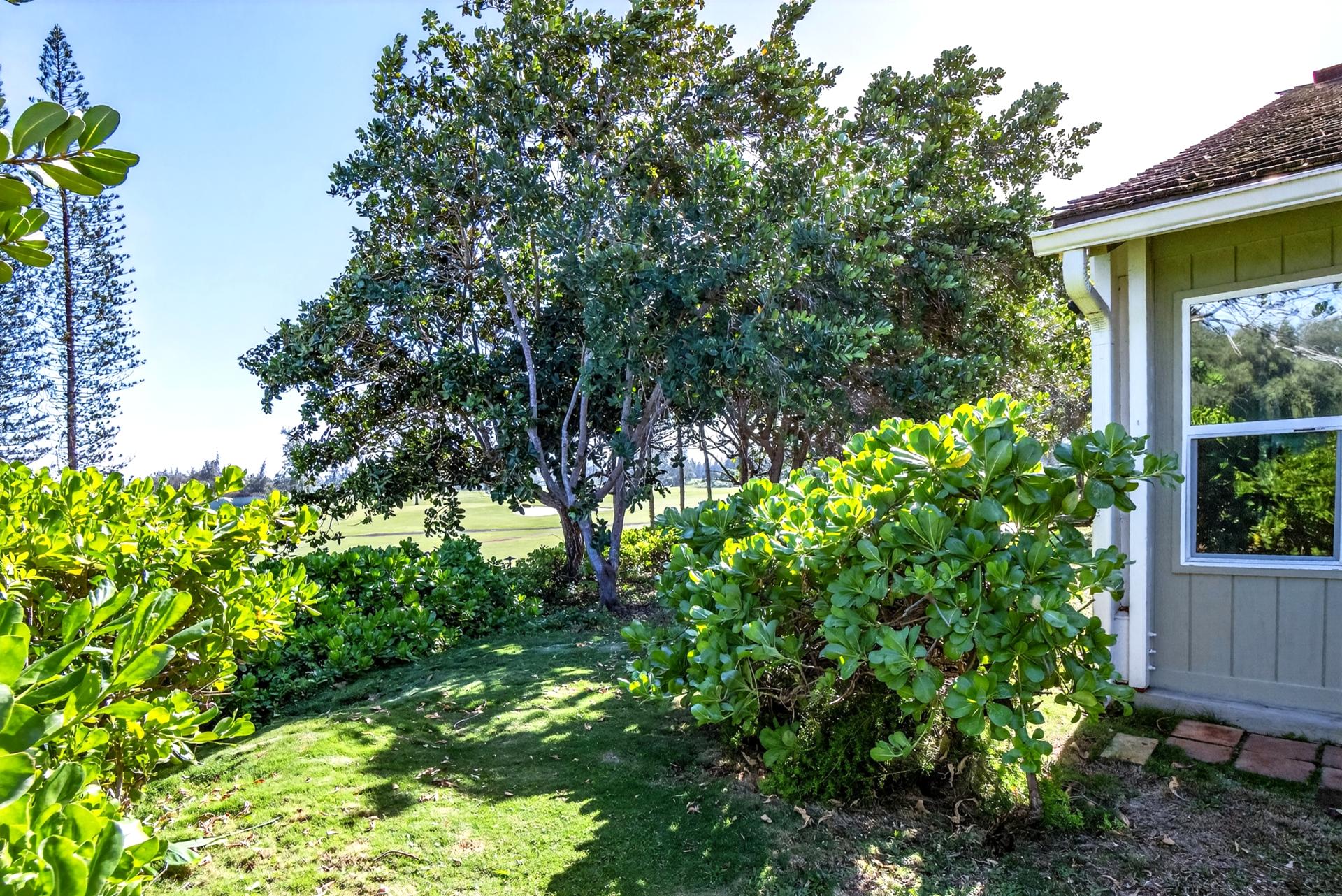 Tropical landscaping welcomes you into a private escape