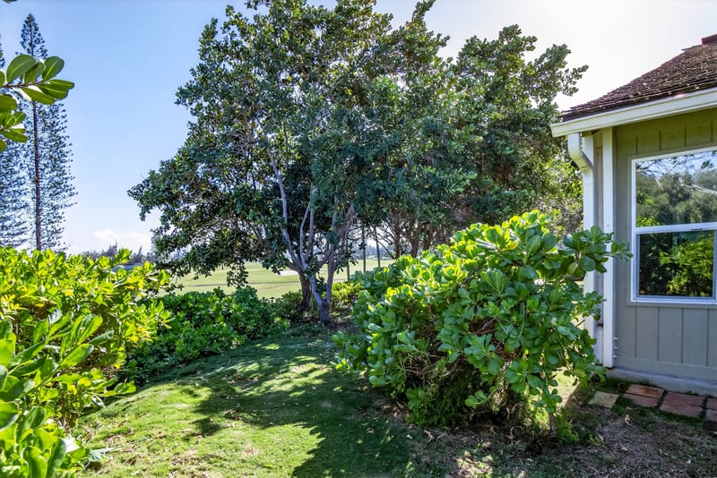 Tropical landscaping welcomes you into a private escape KUL-E113