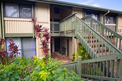 Your villa is surrounded by lush, tropical plants like palm trees and Ti plants.