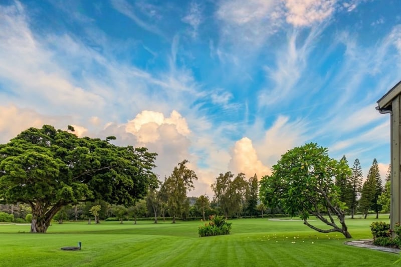 Kuilima Golf Course fairway view from Kuilima West Estates 144, with lush, manicured grounds framed by palms and Norfolk pines.