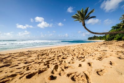Let your footprints mingle with the breeze—this palm-framed shoreline is your personal chapter of island enchantment