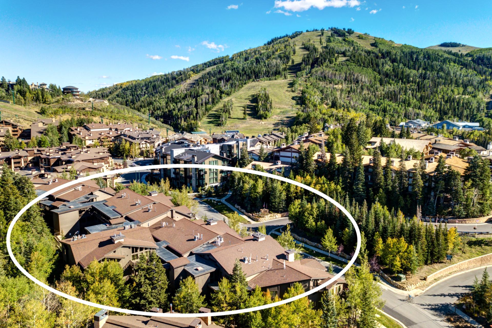 Black Bear Lodge offers easy access to slopes, trails, and dining in a scenic alpine setting.