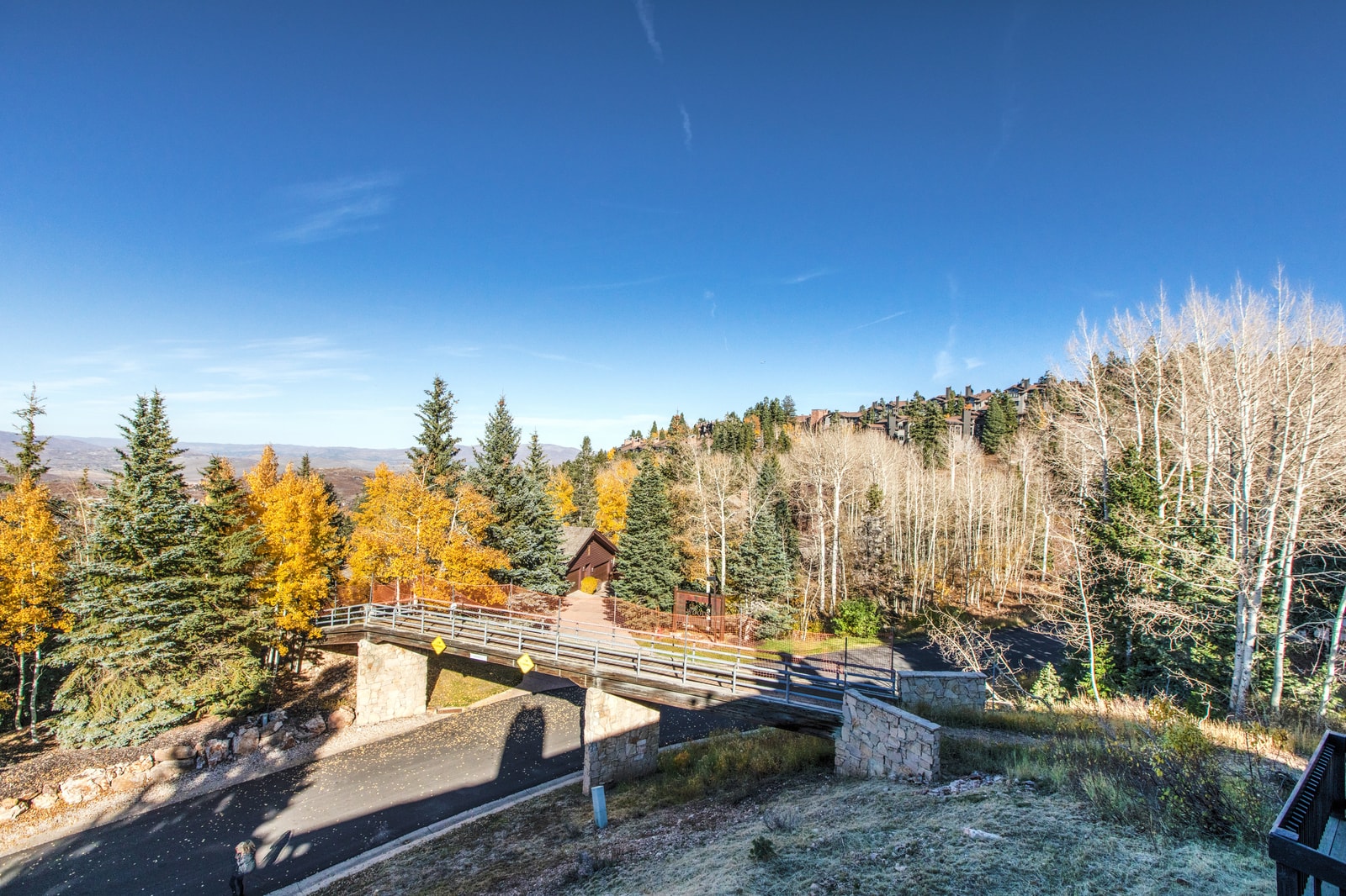 Gorgeous golden foliage surrounds the deck during the fall months.