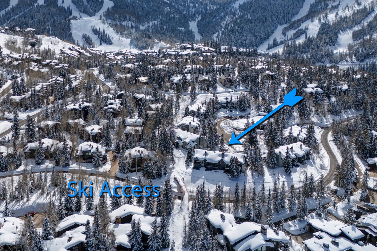 Bird’s-eye schematic shows proximity to lifts, trails, and community amenities.