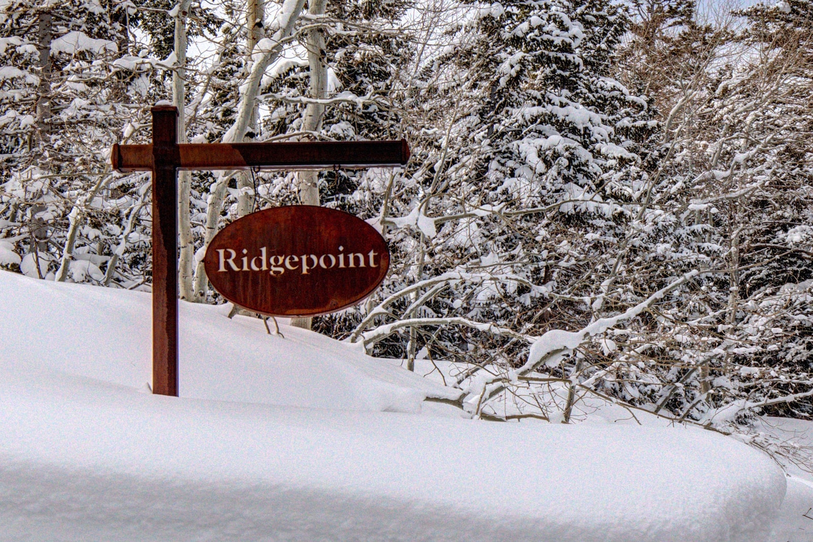 Snowy winter scene captures the peaceful, lodge-like charm of Ridgepoint.