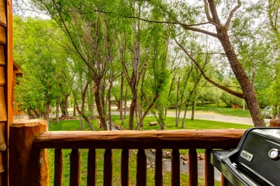 Scenic outdoor view from rustic deck with lush trees and creek.