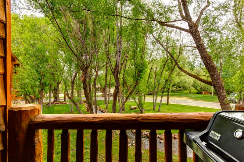 Scenic outdoor view from rustic deck with lush trees and creek.