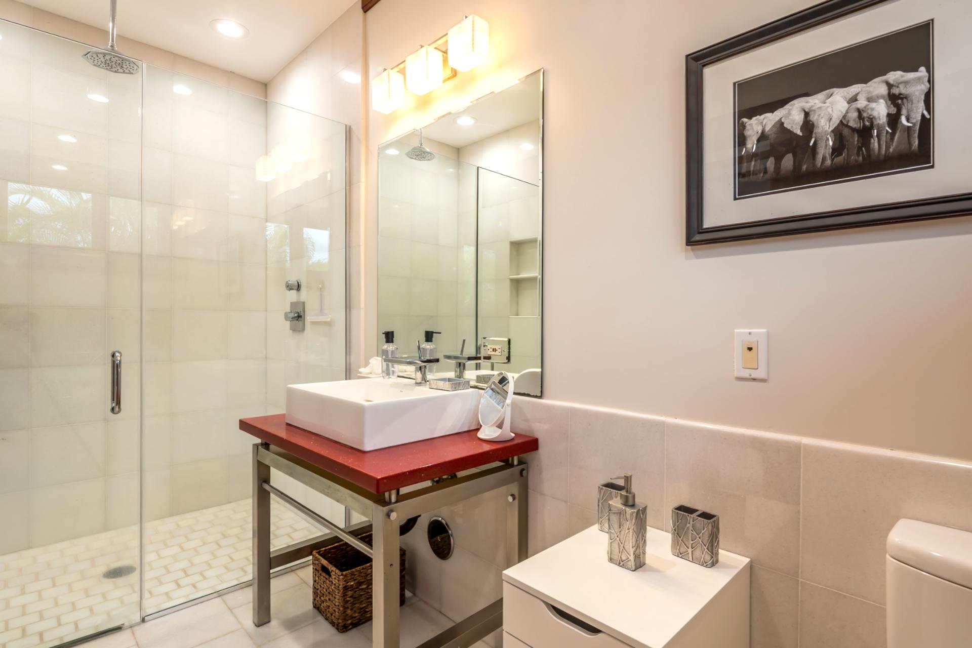 This guest bath features a sleek walk-in shower and under-mounted sink.