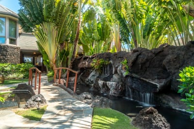 The outdoor space of the home is truly a tropical oasis