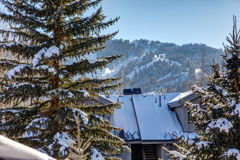 Ski slope view - snow-dusted pines frame a distant view of the Deer Valley ski runs