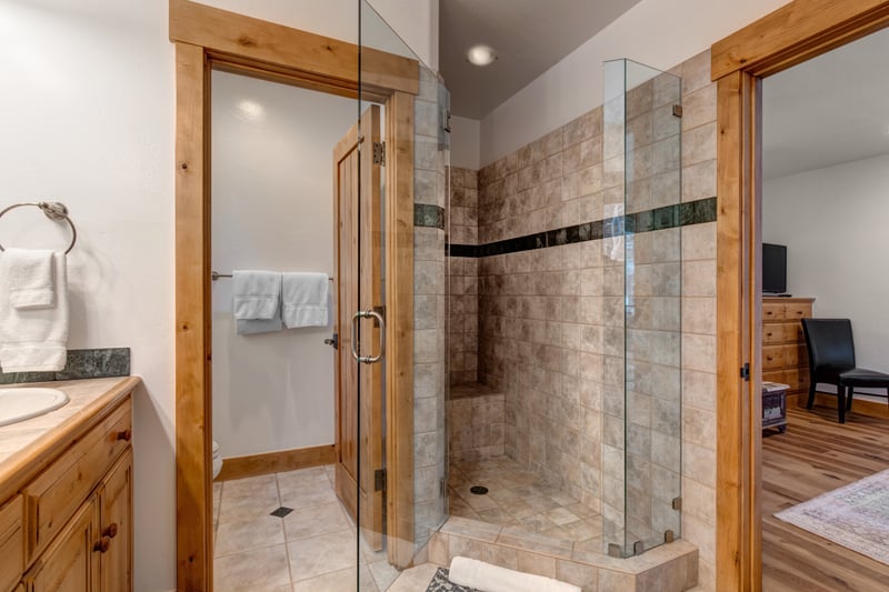 Step in shower