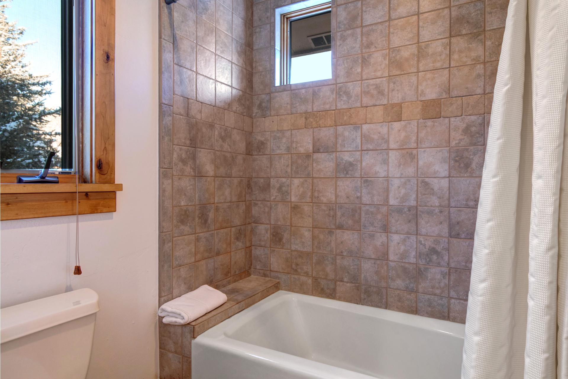 Shower and tub combination