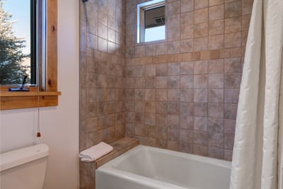 Shower and tub combination