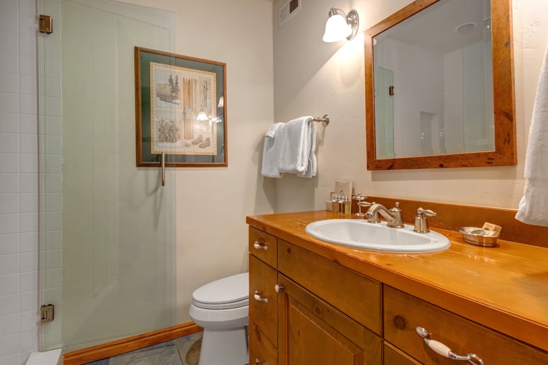 Guest Bath serves the bunk room and features walk-in shower and modern fixtures.