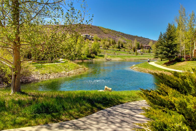 Enjoy a peaceful view over the backyard pond and surrounding nature.
