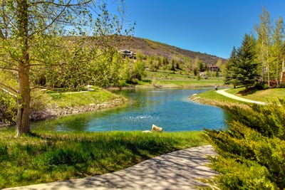 Enjoy a peaceful view over the backyard pond and surrounding nature.