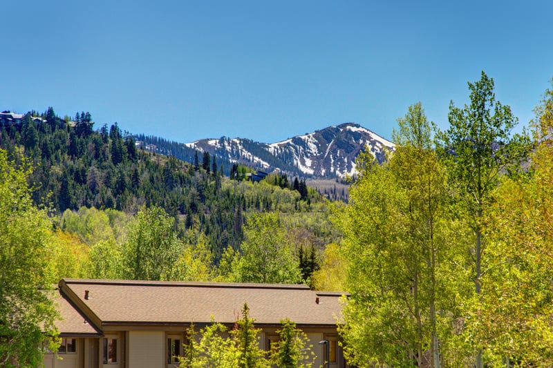 Expansive alpine views stretch across open sky and treetops from the upper deck.