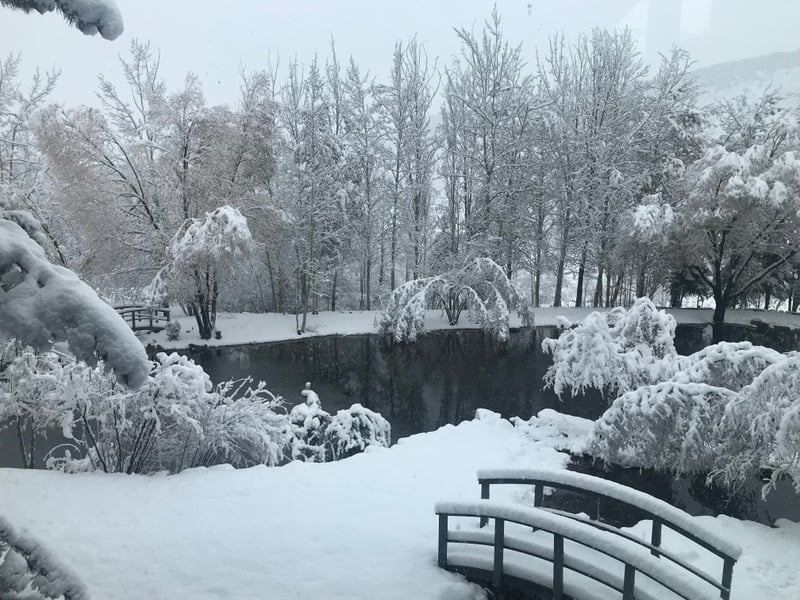 Snow-covered trees and a serene creek create peaceful winter views from the estate grounds.