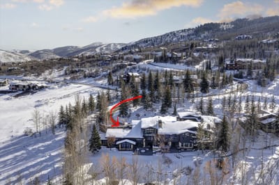 Aerial view reveals the full estate and private setting surrounded by forest and trails.
