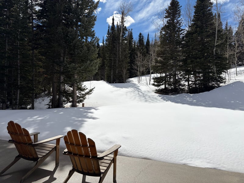 Private patio with Adirondack chairs overlooking snow-draped pines at The Colony.