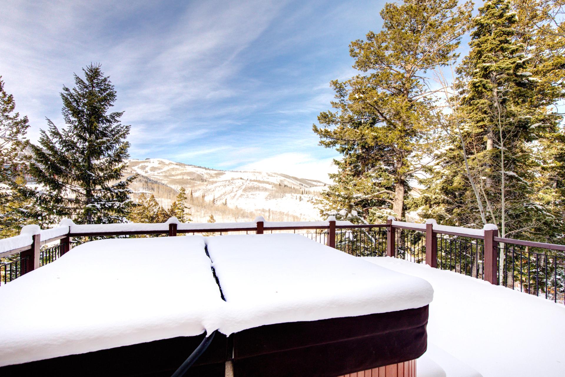 A second hot tub view shows secluded pine views and open skies.