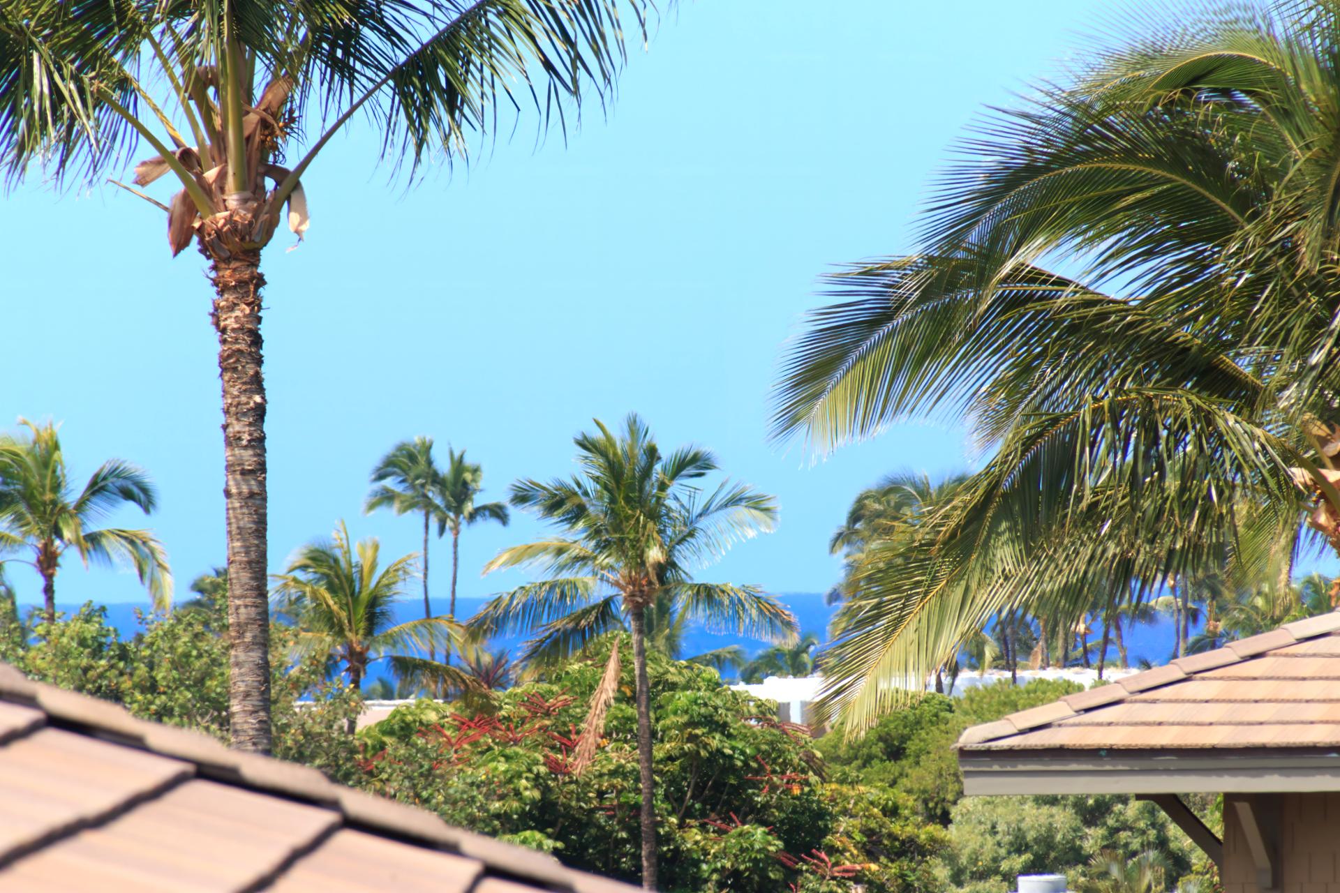 Lush grounds, ocean views, and timeless island elegance   