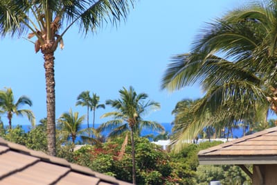 Lush grounds, ocean views, and timeless island elegance