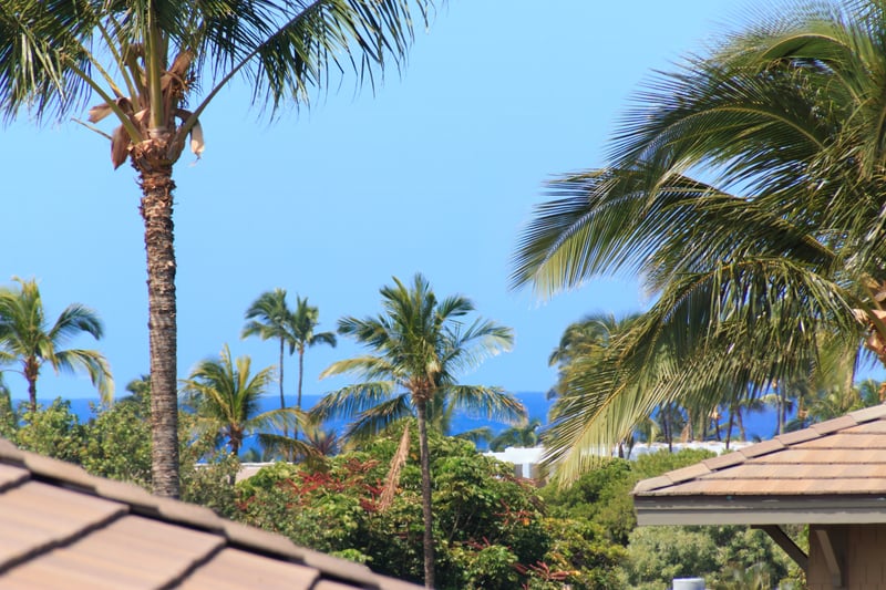 Lush grounds, ocean views, and timeless island elegance