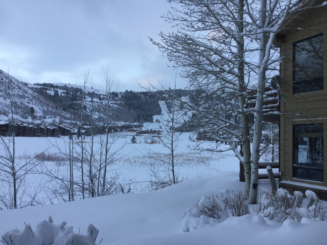 Snowy winter scenes right outside your windows set the stage for a cozy, scenic stay.