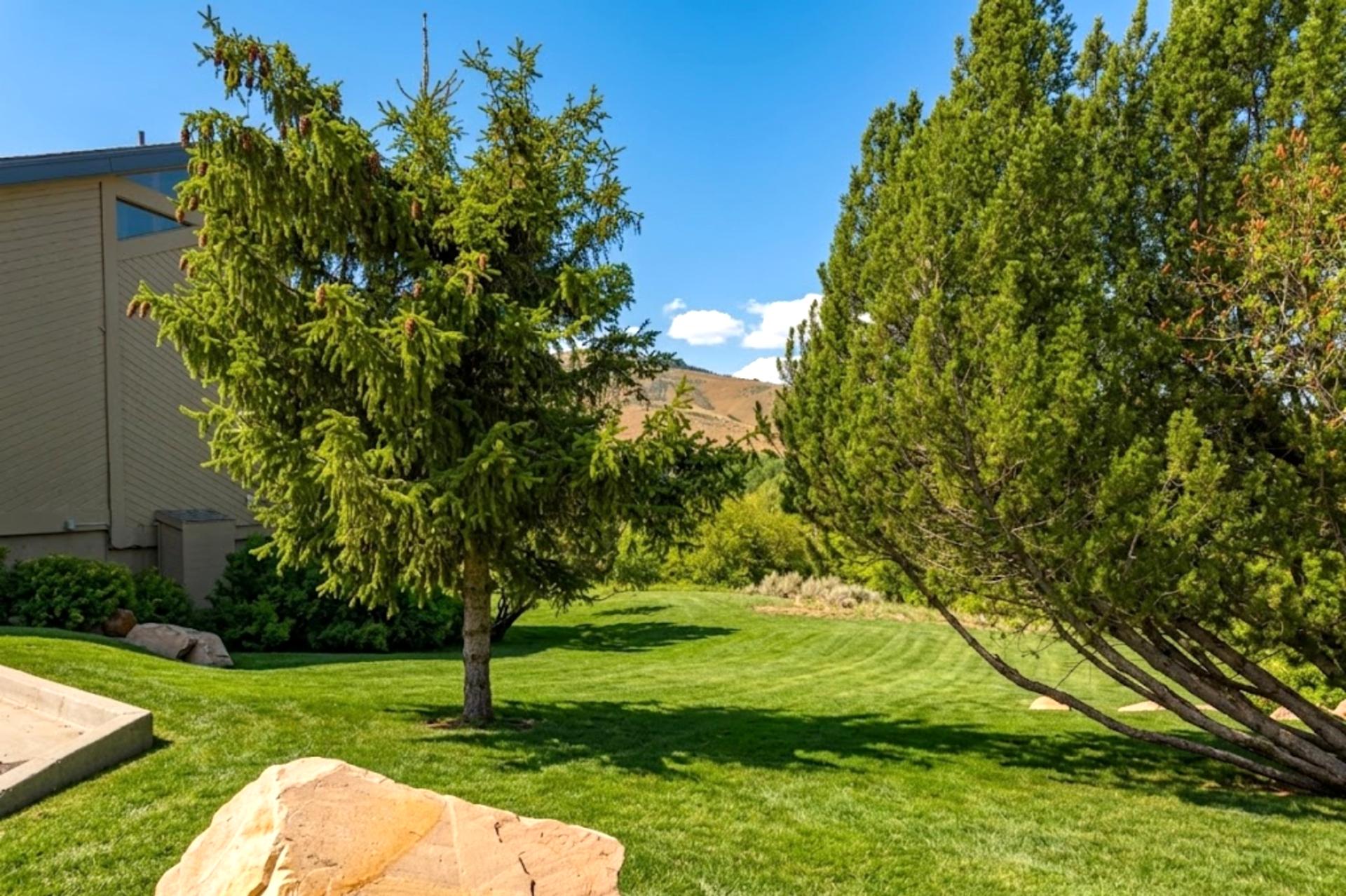 Open landscape across the street from the townhome 