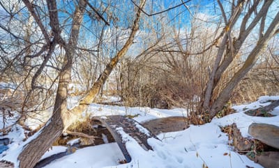 Enjoy peaceful walks by the creek right outside your door.
