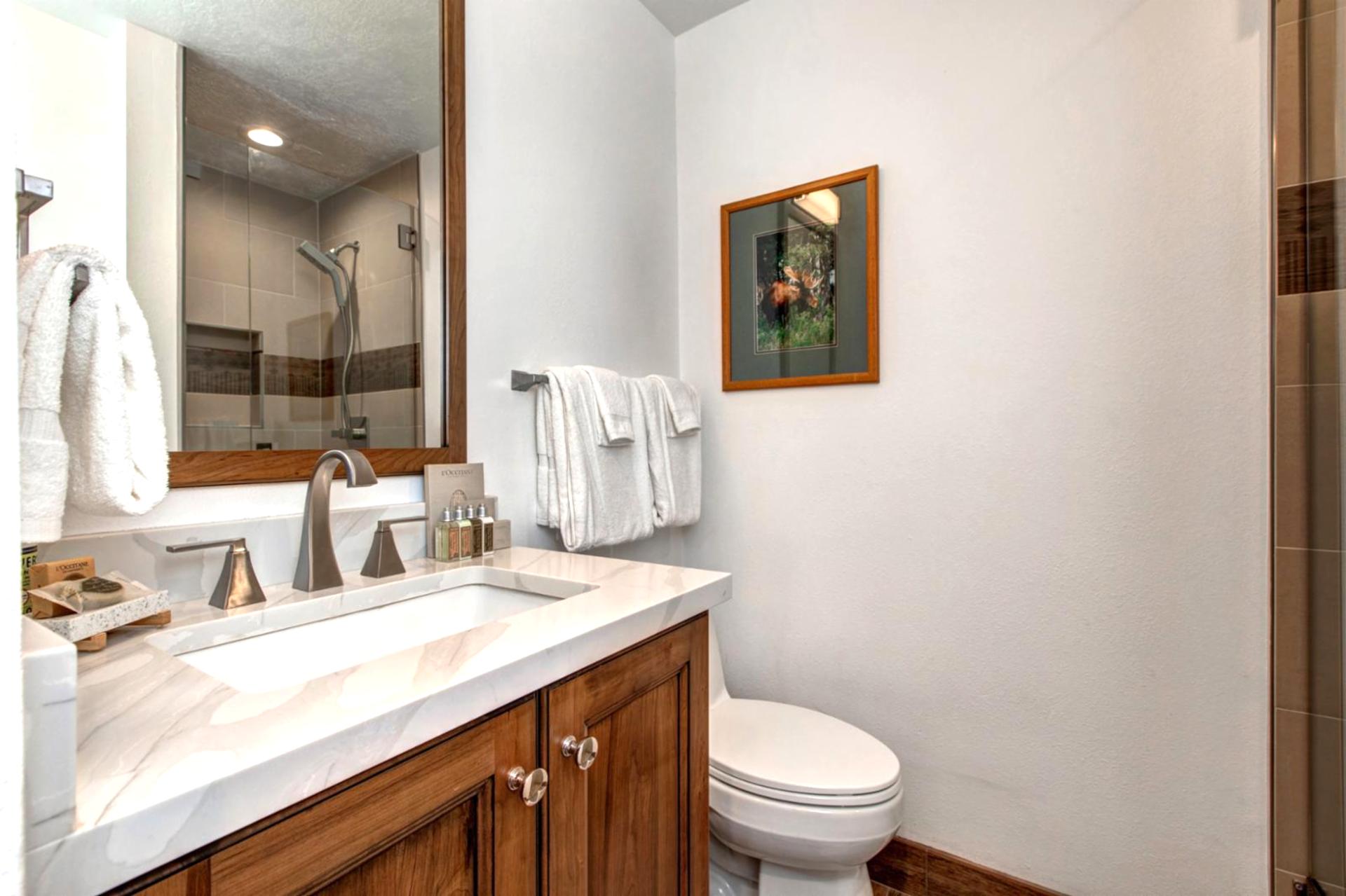 The guest bath features a granite vanity, modern lighting, and walk-in shower.