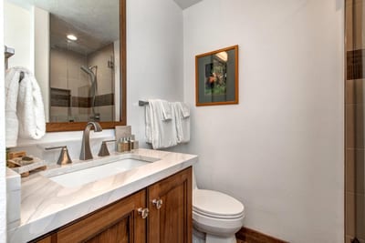 The guest bath features a granite vanity, modern lighting, and walk-in shower.